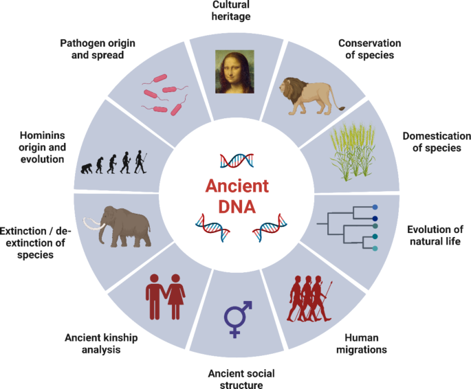 Ancient DNA