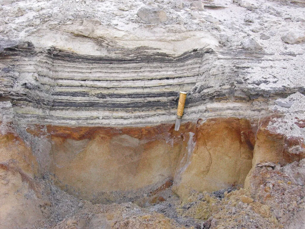  2 Million-Year-Old DNA Found