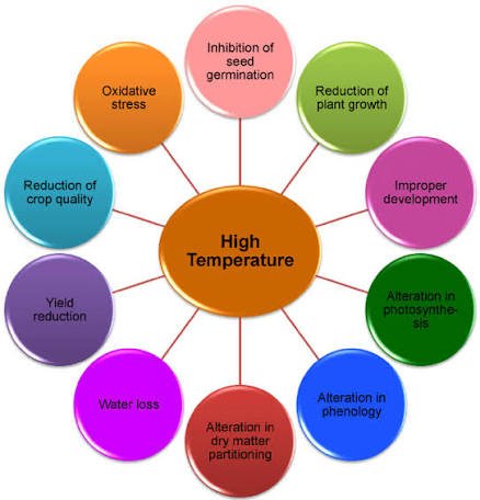 High Temperatures