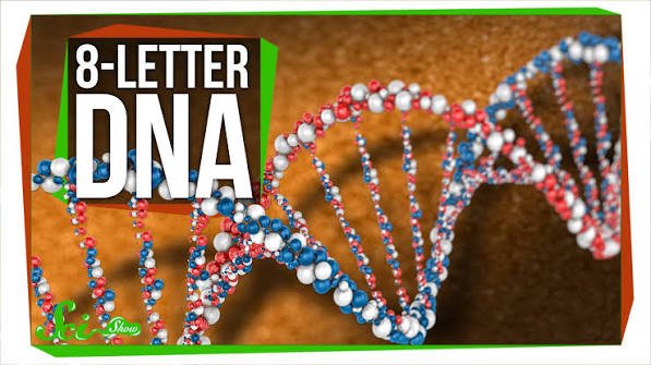 Eight-Letter DNA Alphabet Demonstrated