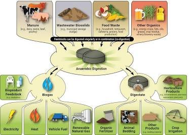 9 Powerful Food Waste Research Findings for a Smarter Future